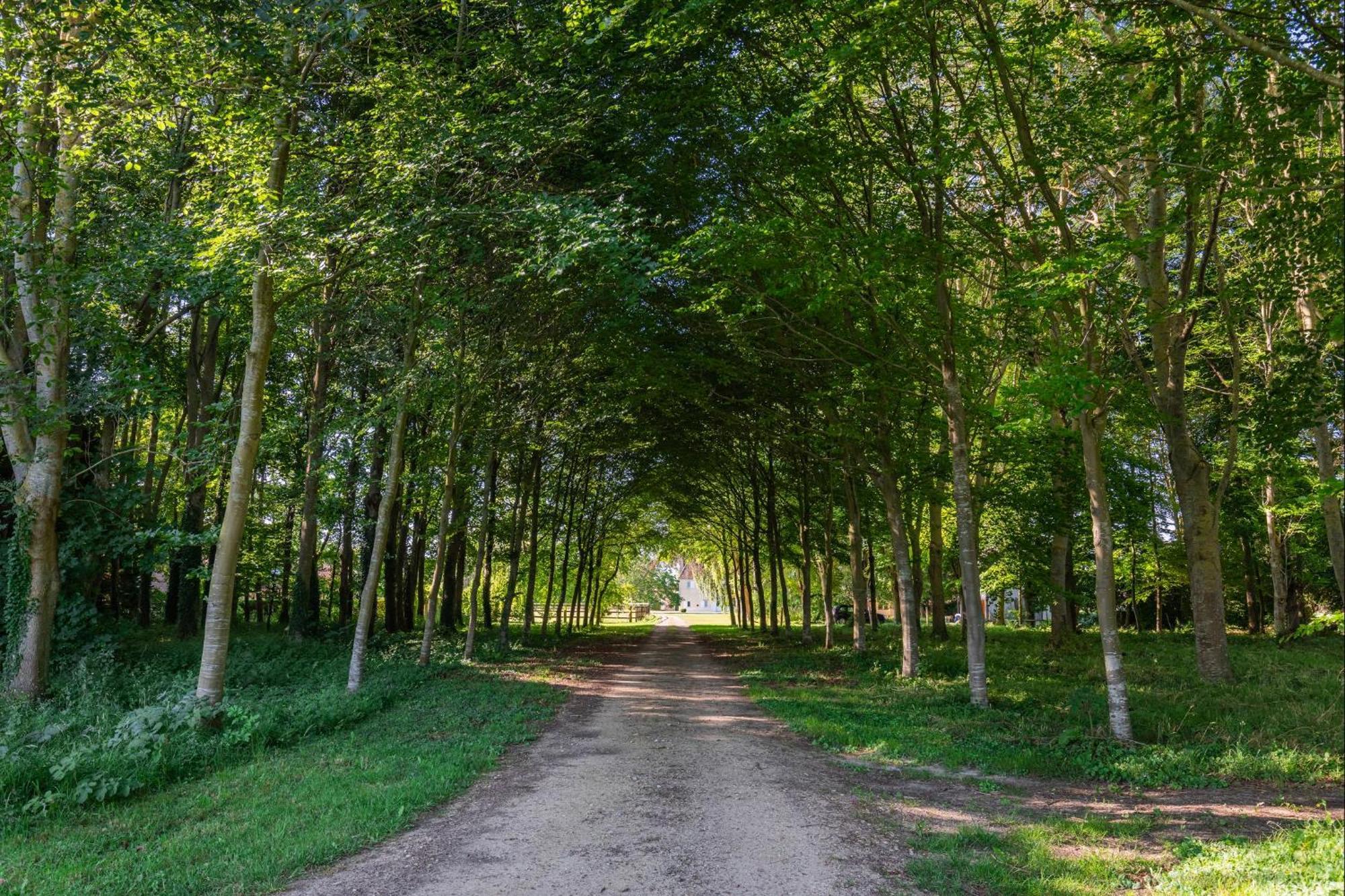 Bagatelle Avec Jardin Et Piscine Chauffee Villa Bieville-en-Auge Kültér fotó