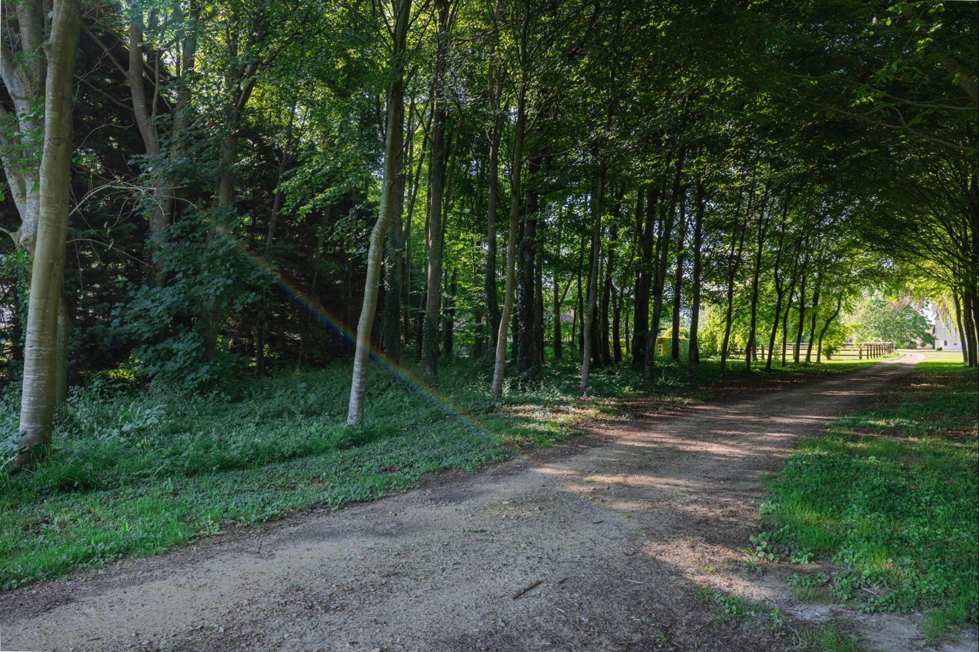 Bagatelle Avec Jardin Et Piscine Chauffee Villa Bieville-en-Auge Kültér fotó